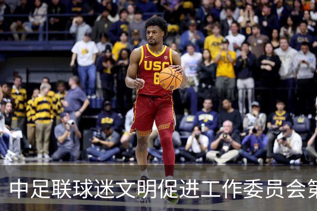 中足联球迷文明促进工作委员会第一次会议在青岛召开