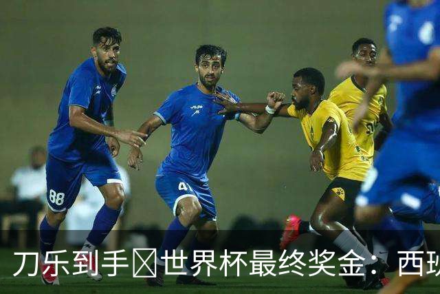 刀乐到手🤑世界杯最终奖金：西班牙夺冠获5000万，阿根廷3300万