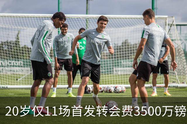 20岁仅11场首发转会费3500万镑，这笔交易却被认为很划算